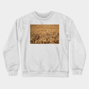 Ripe wheat field Crewneck Sweatshirt